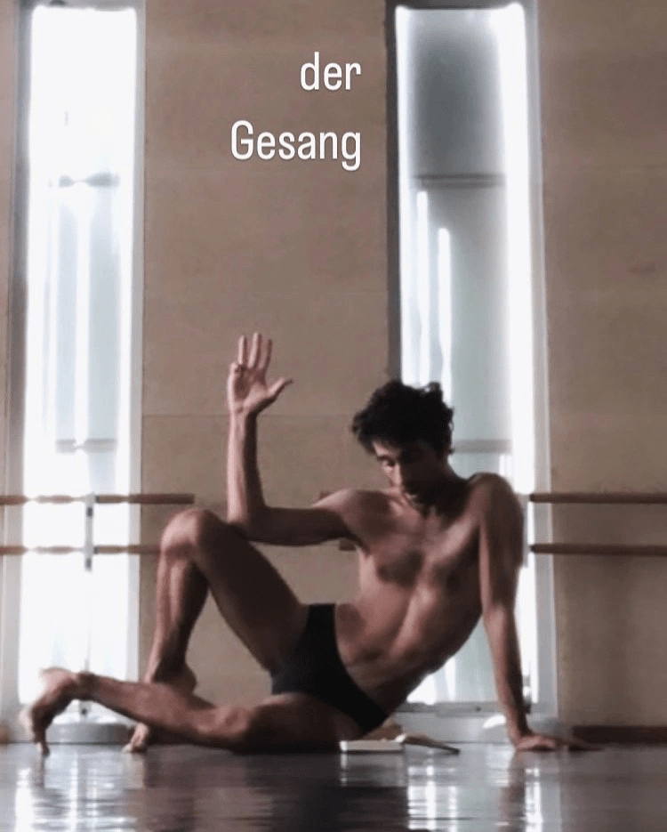 der gesang